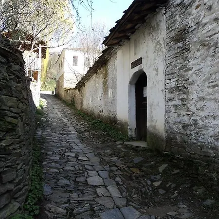 Q.pova House