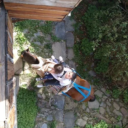 Hébergement de vacances кюповата къща 1860 Qpova House Kovačevica
